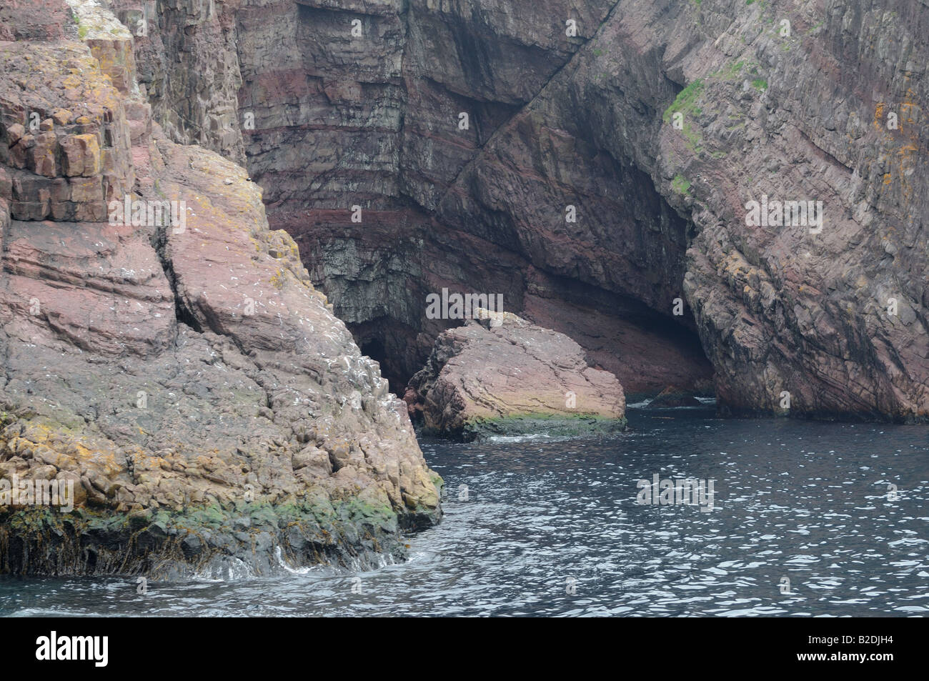 Antiche rocce e caverne di mare nella baia di Witless Riserva Ecologica, Terranova. Foto Stock