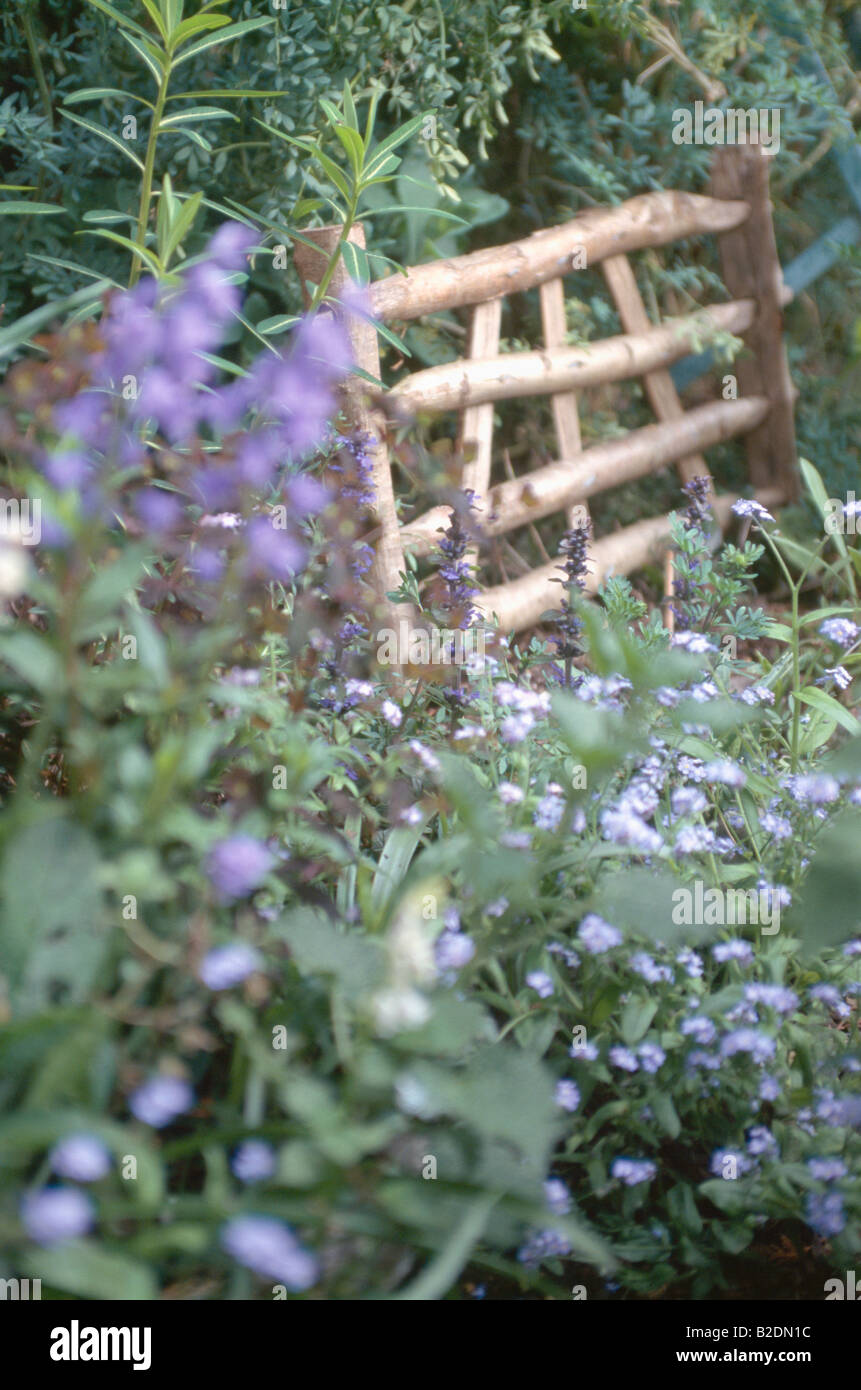 Close up di blu Dimenticare me not nella parte anteriore del recinto in miniatura Foto Stock