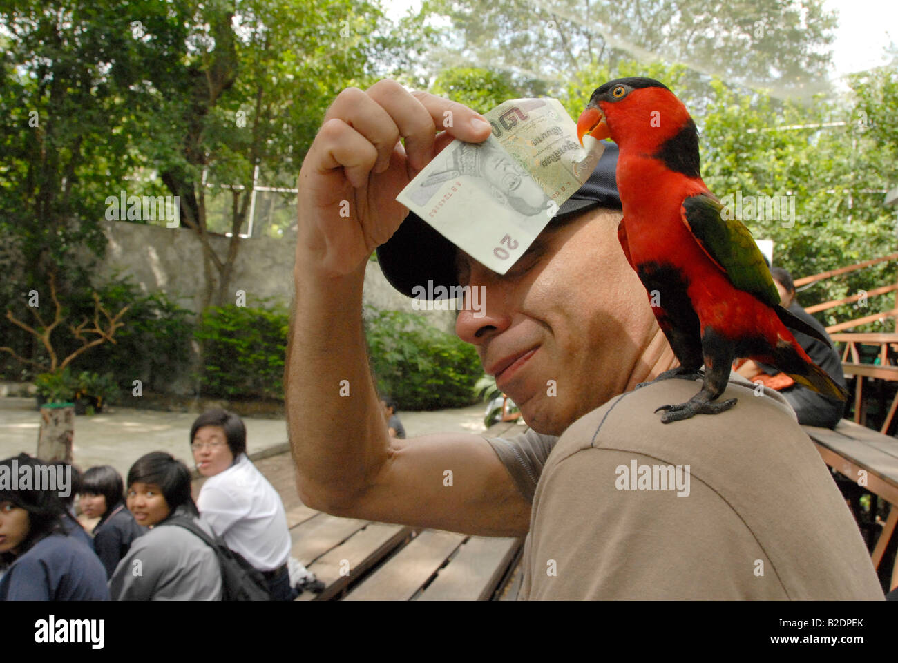 Parrot prendere denaro , lo zoo di dusit , Bangkok , Thailandia Foto Stock