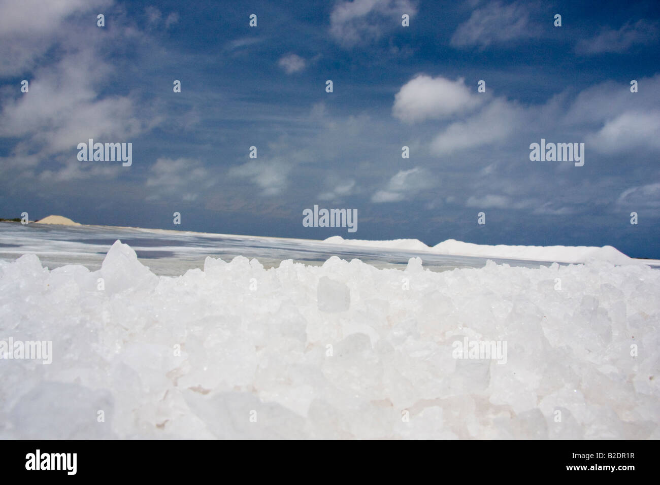 I cristalli di sale a Saline di Pekelmeer, Bonaire Island, dei Caraibi. Foto Stock