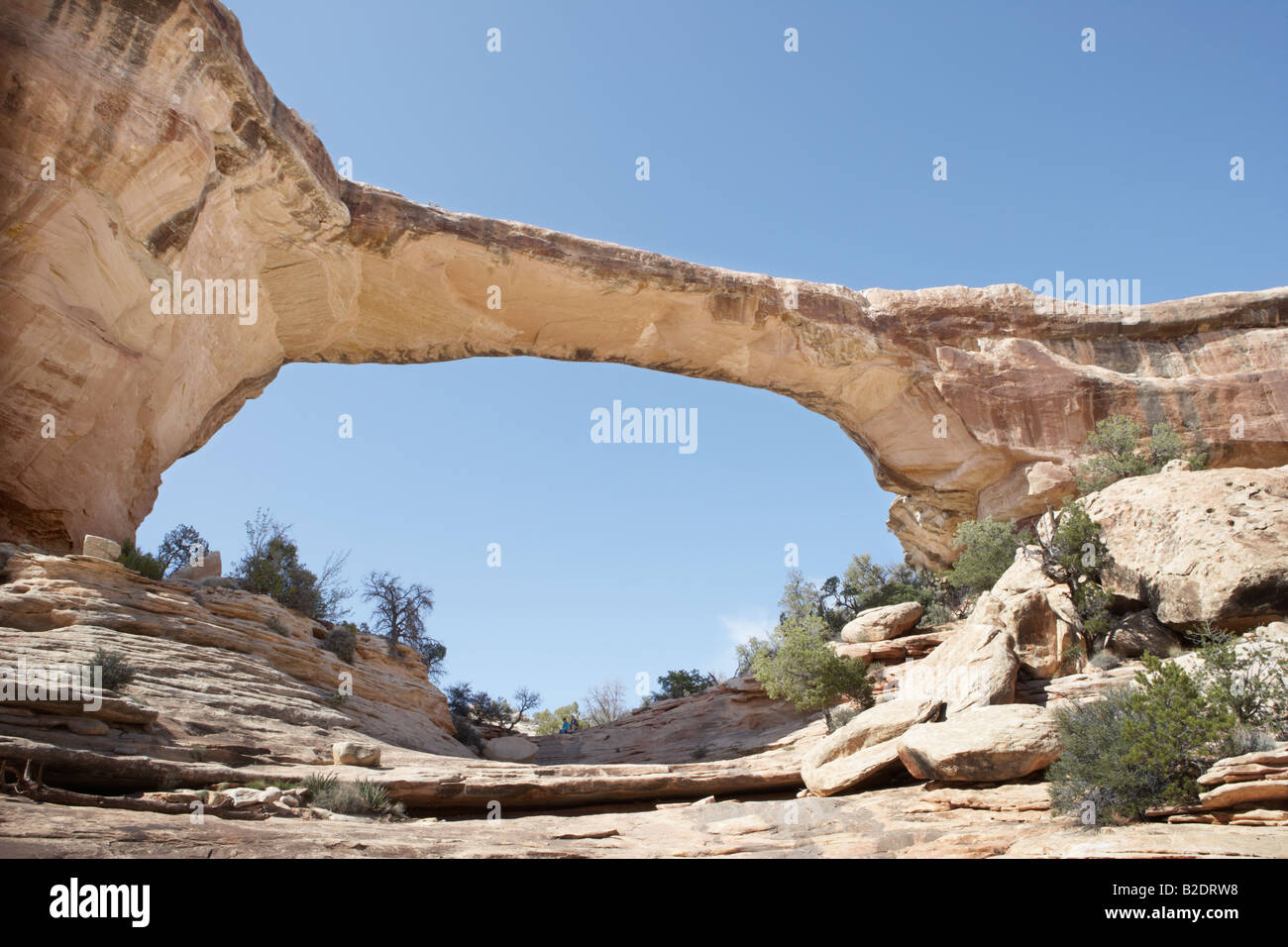 I turisti a Owachomo Ponte naturale nello Utah Stati Uniti d'America Foto Stock