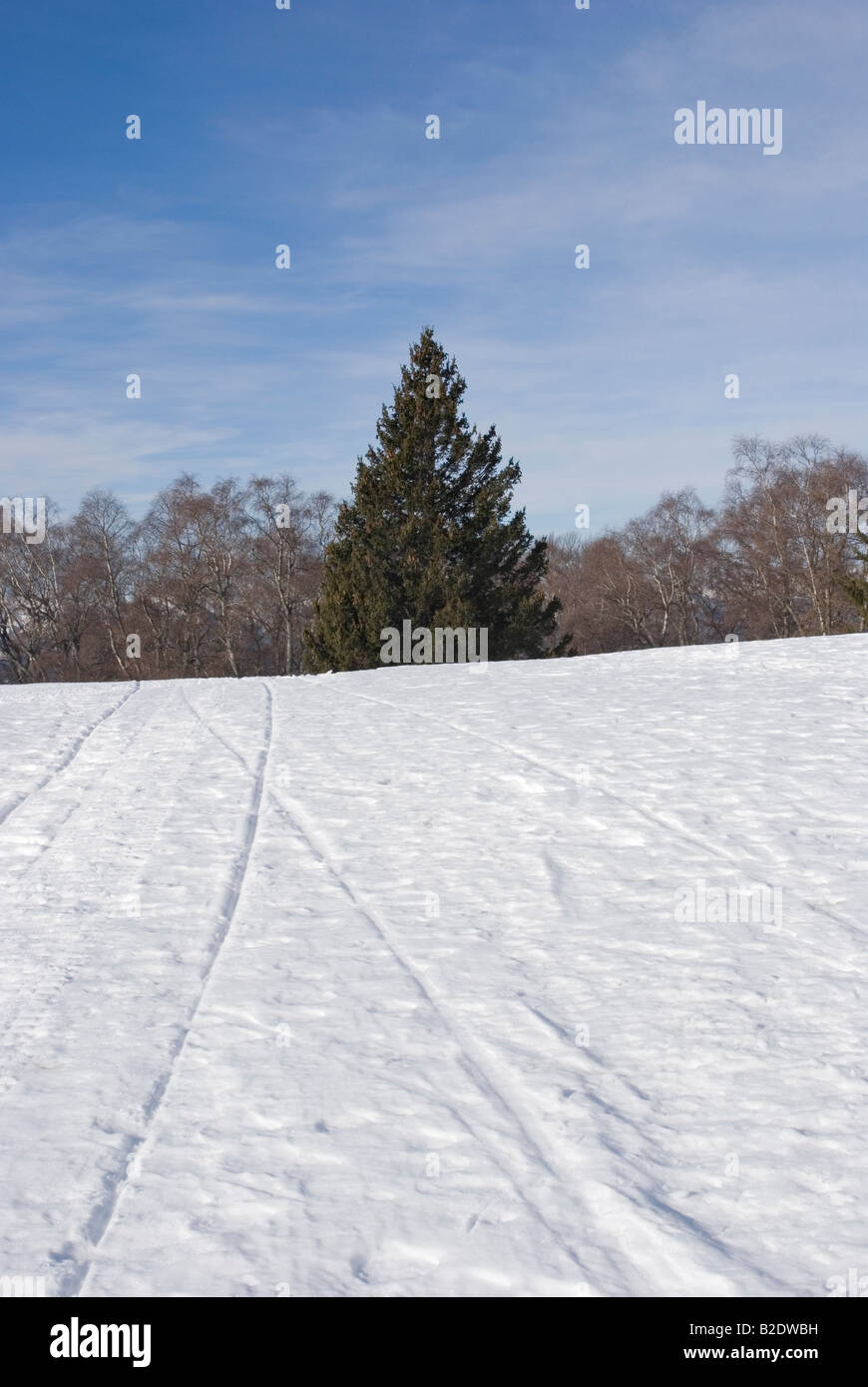 Contrassegni di motoslitta sulla neve Foto Stock