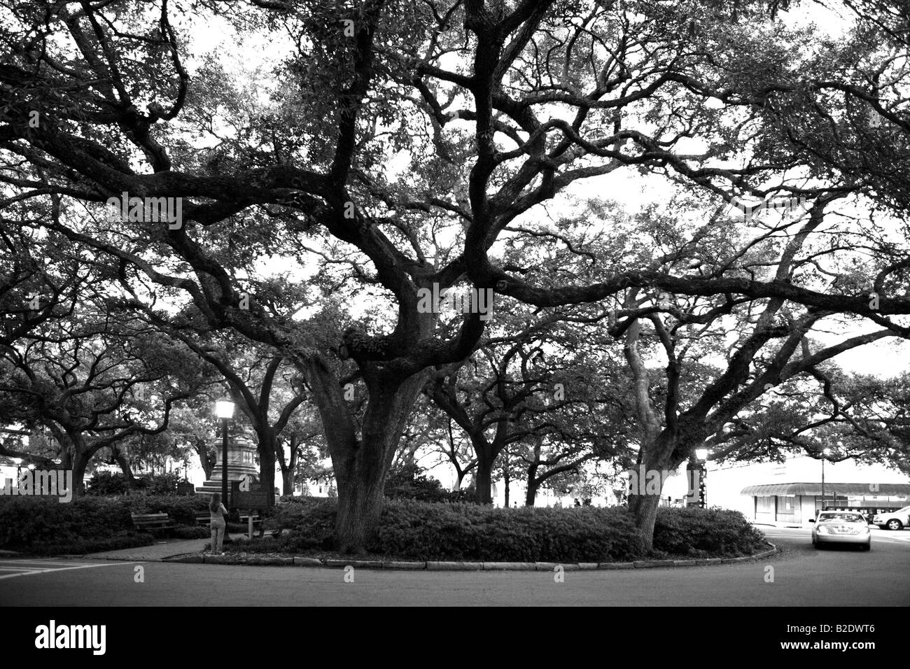 WRIGHT SQUARE a Savannah in Georgia negli Stati Uniti Foto Stock