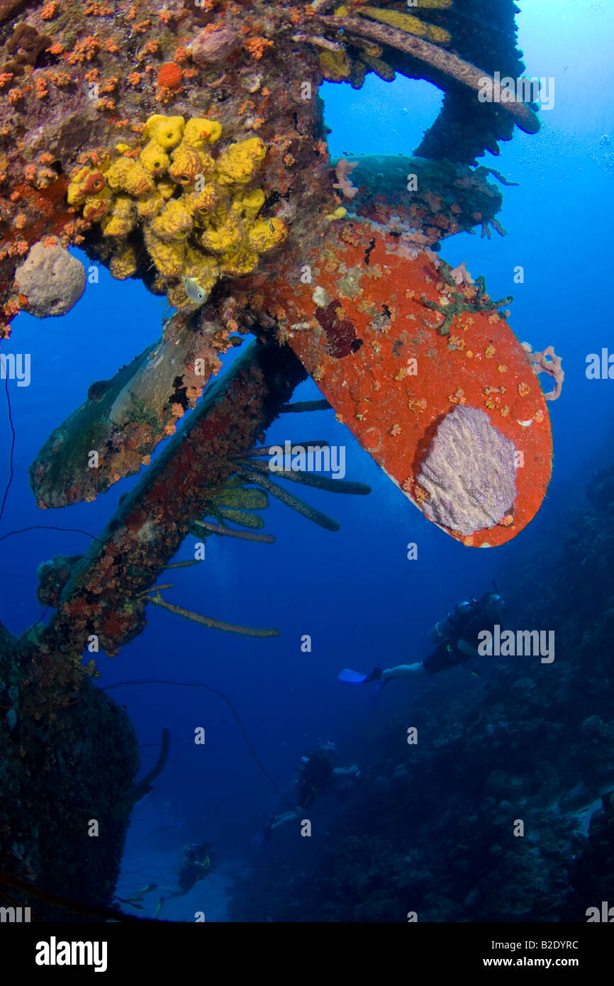 I subacquei sul relitto del Hilma Hooker, un 236 piedi lungo nave affondata nel 1984 off Bonaire nei Caraibi. Foto Stock