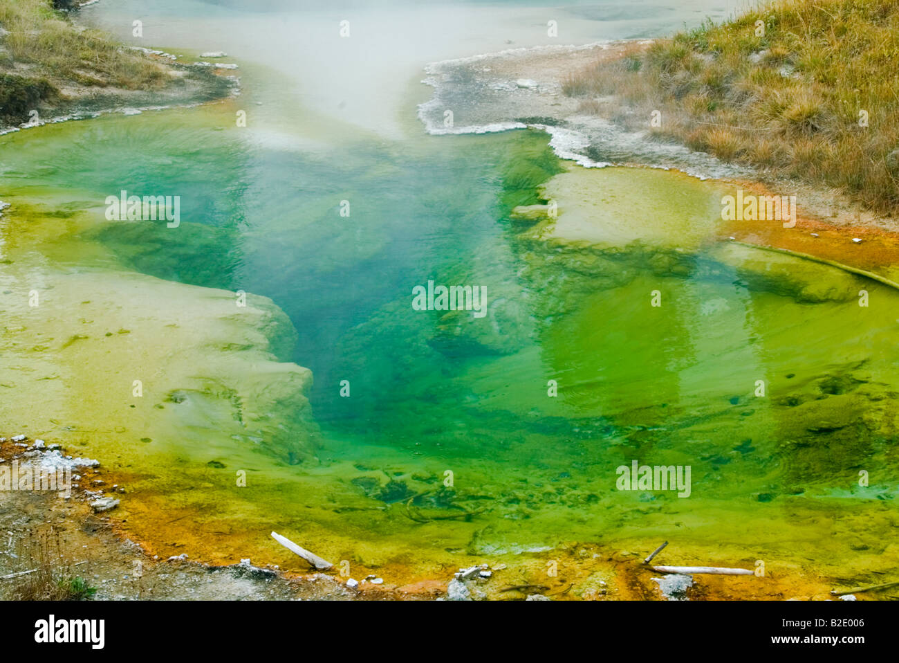 Stati Uniti d'America, Wyoming Yellowstone National Park, West Thumb Geyser Basin trail, sismografo piscina Foto Stock