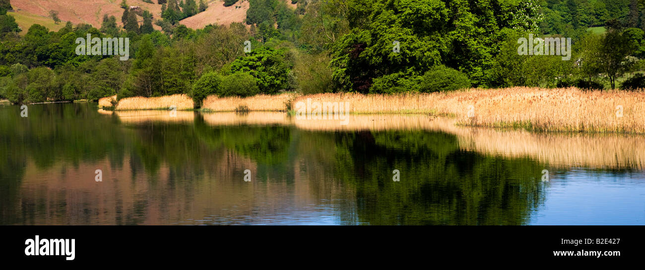 Acqua Elter i colori primaverili intorno ai laghi litorale, 'Il Lake District' Cumbria Inghilterra England Regno Unito Foto Stock
