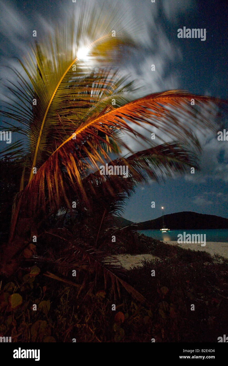 Palme ondeggiano nella brezza notturna sulla sabbia sputa una piccola isola delle Isole Vergini Britanniche. Foto Stock