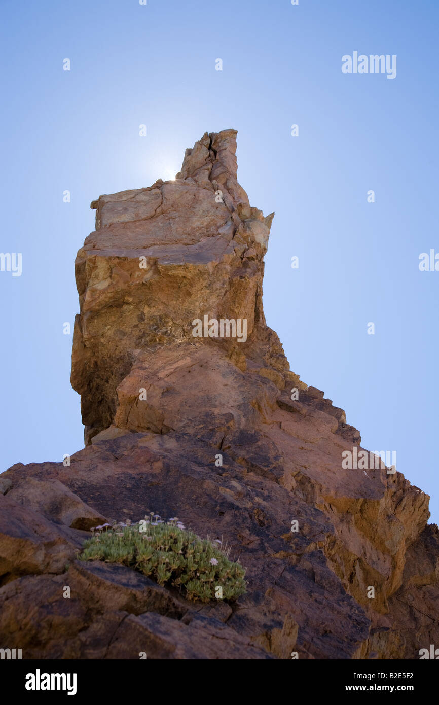 Rock e sun,Tenerife Foto Stock