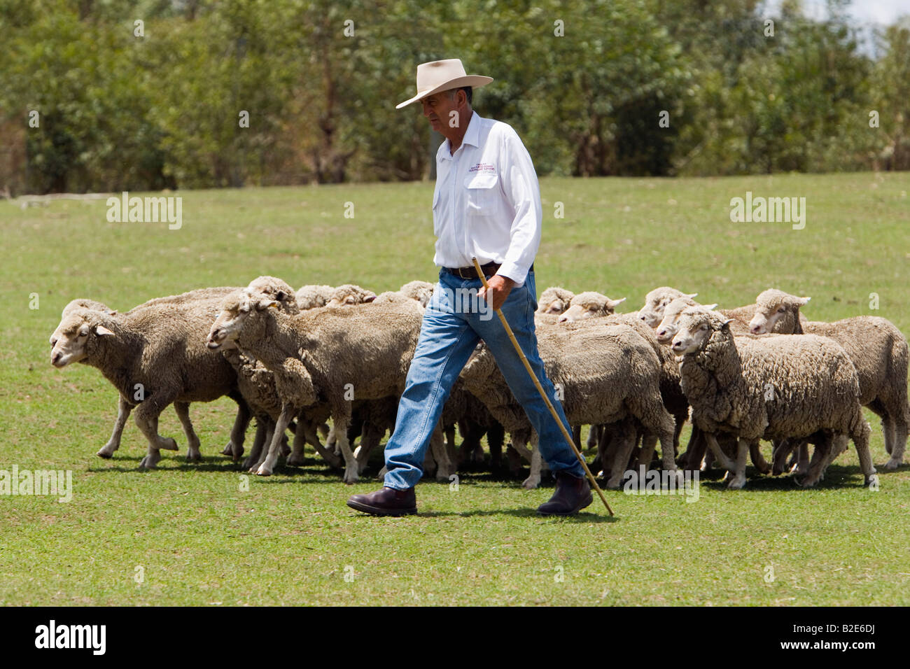 Allevatore ovino - Queensland, Australia Foto Stock