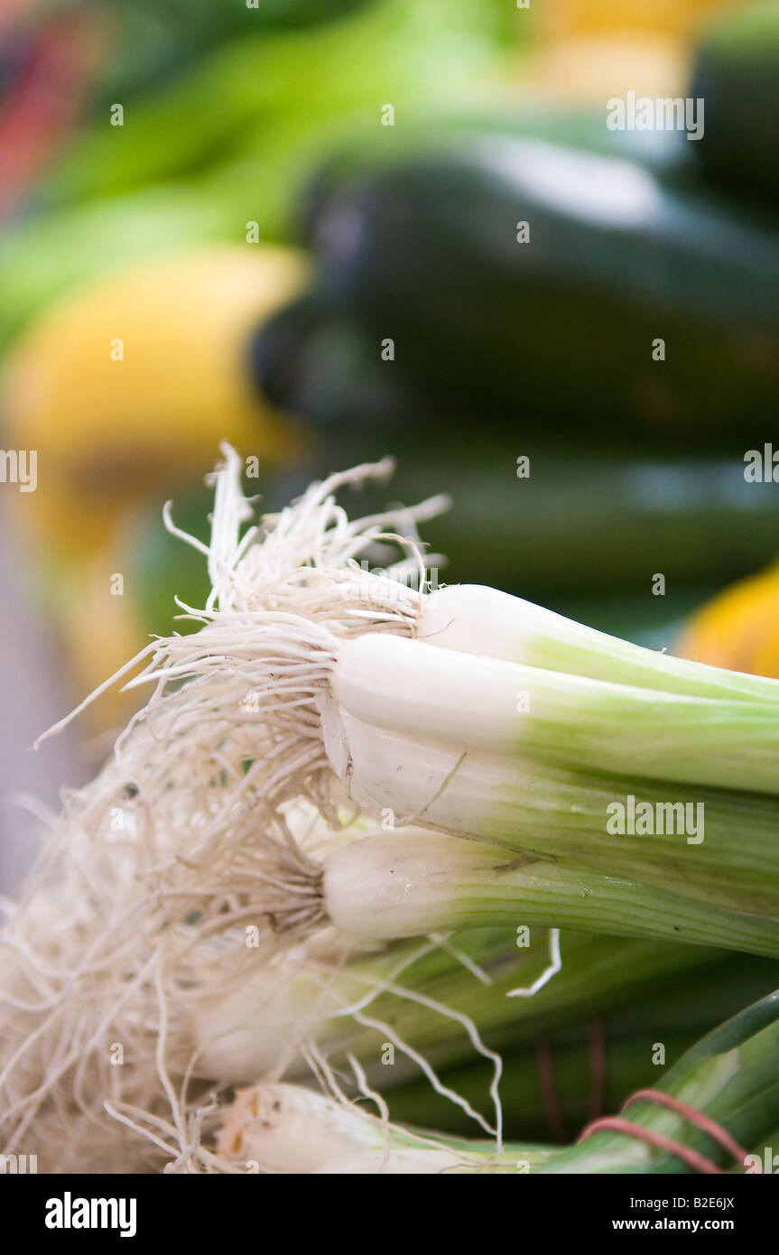 Ortaggi assortiti sul display a lato ovest Mercato in Cleveland Ohio Foto Stock