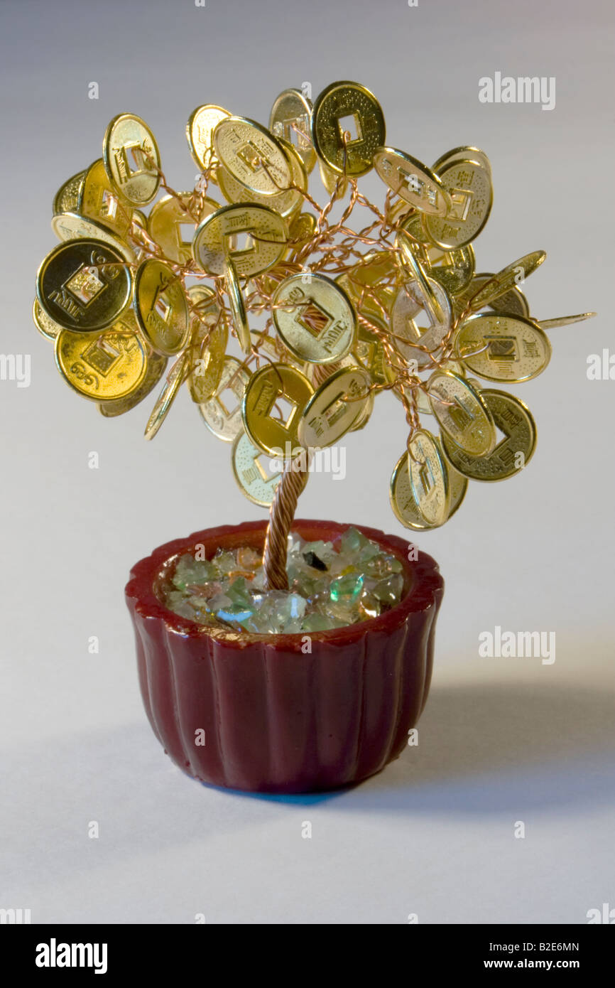 Il Feng Shui Money Tree Foto Stock