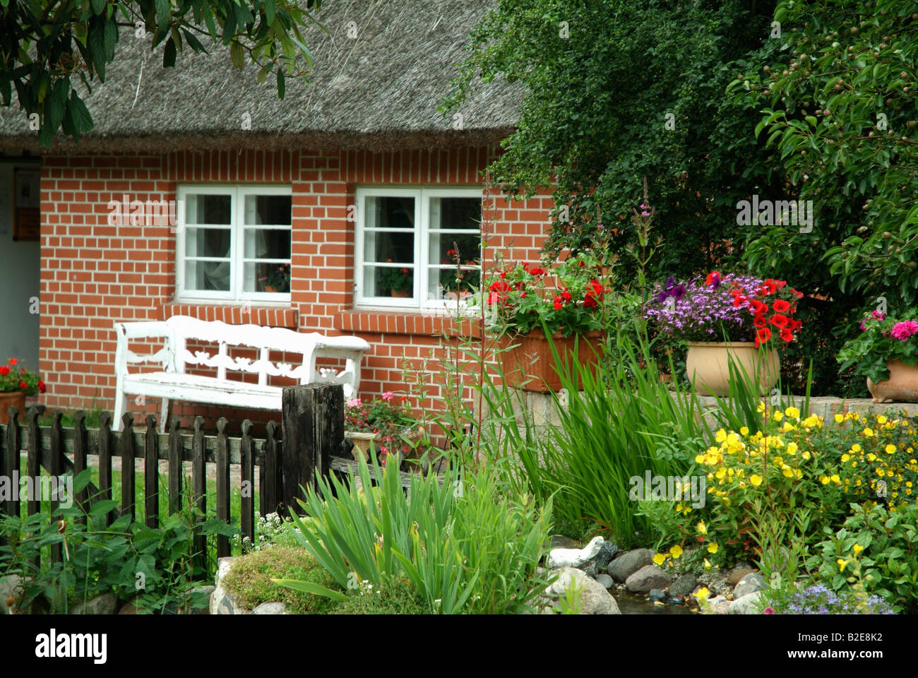 Giardino nella parte anteriore del cottage, Middelhagen, Monchgut, Rügen, Meclenburgo-Pomerania Occidentale, Germania Foto Stock