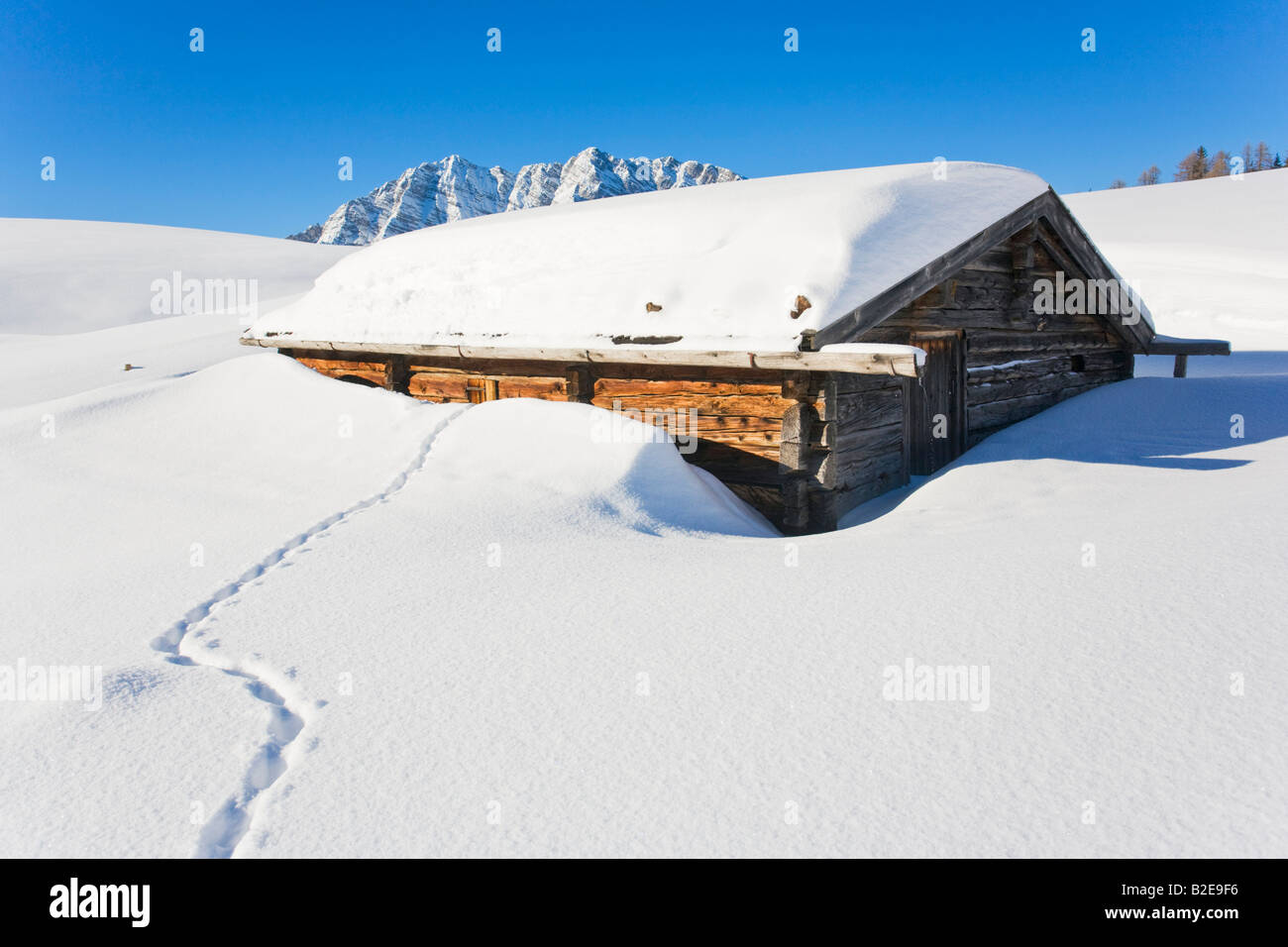 Animale la via che conduce a malga sul paesaggio polare Foto Stock