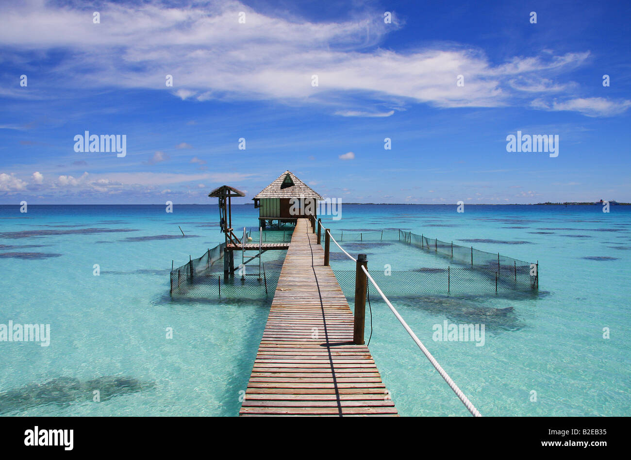 Jetty in acque poco profonde, Arcipelago Tuamotu, Polinesia francese, Polinesia, isola del Pacifico Foto Stock