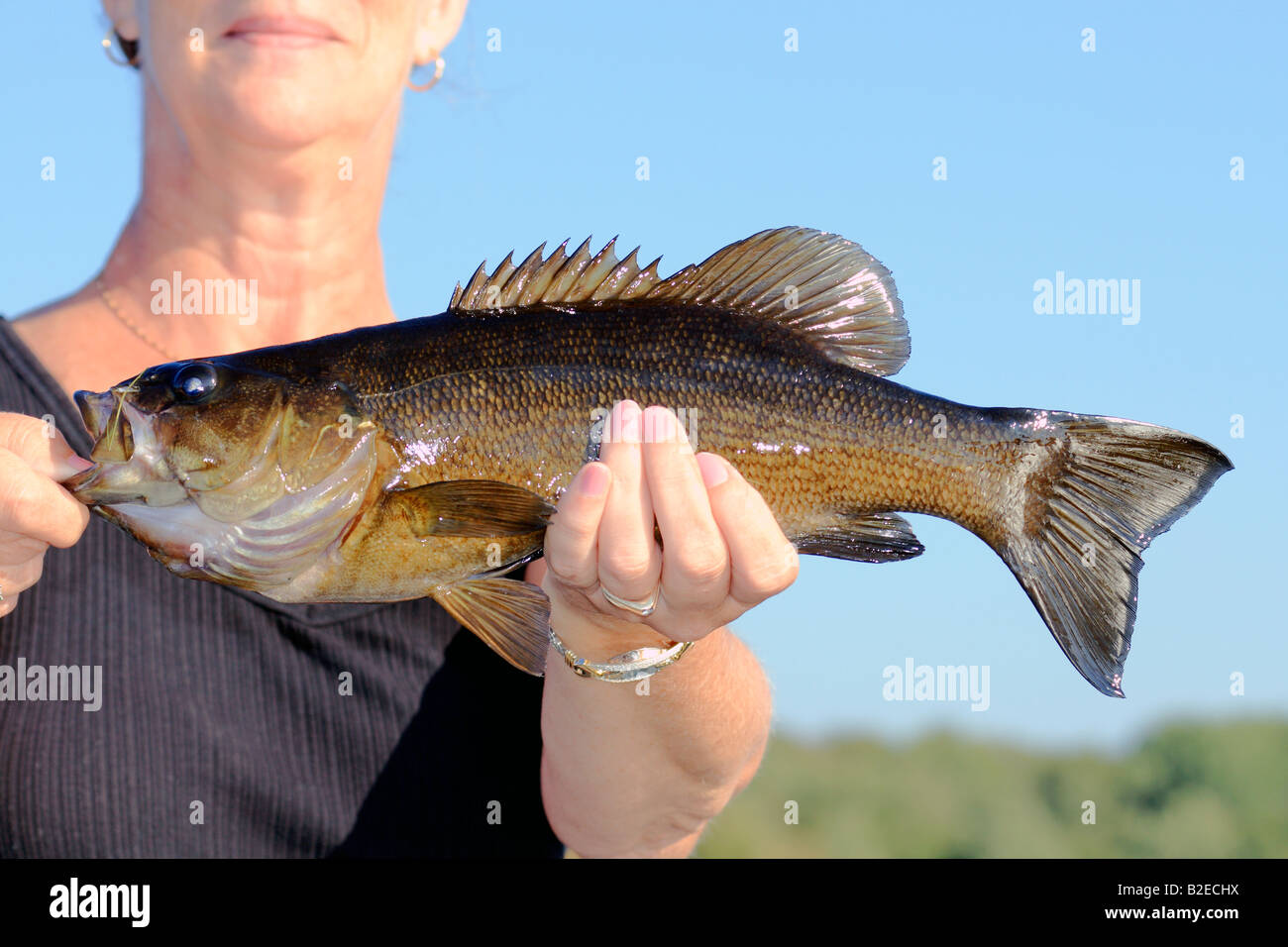 Un smallmouth detenute da un pescatore di donna Foto Stock