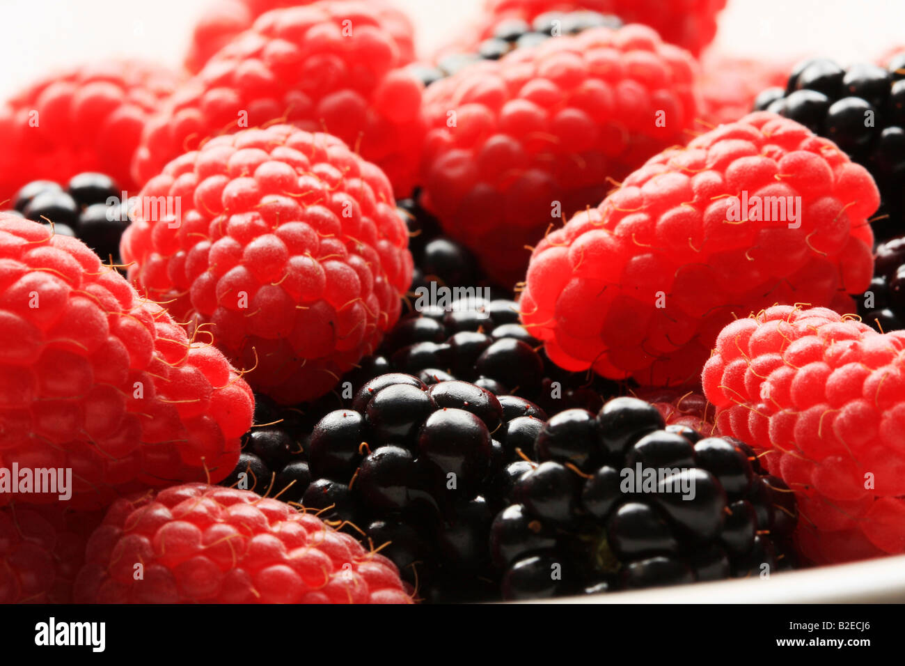 Rosso di lamponi e more in una ciotola l'illuminazione da dietro per creare un elevato contrasto eccezionale per i concetti di freschezza e dess Foto Stock