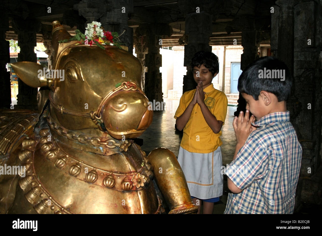 Hindu fratello e sorella di pregare per un nandi statua in un tempio in  India Foto stock - Alamy