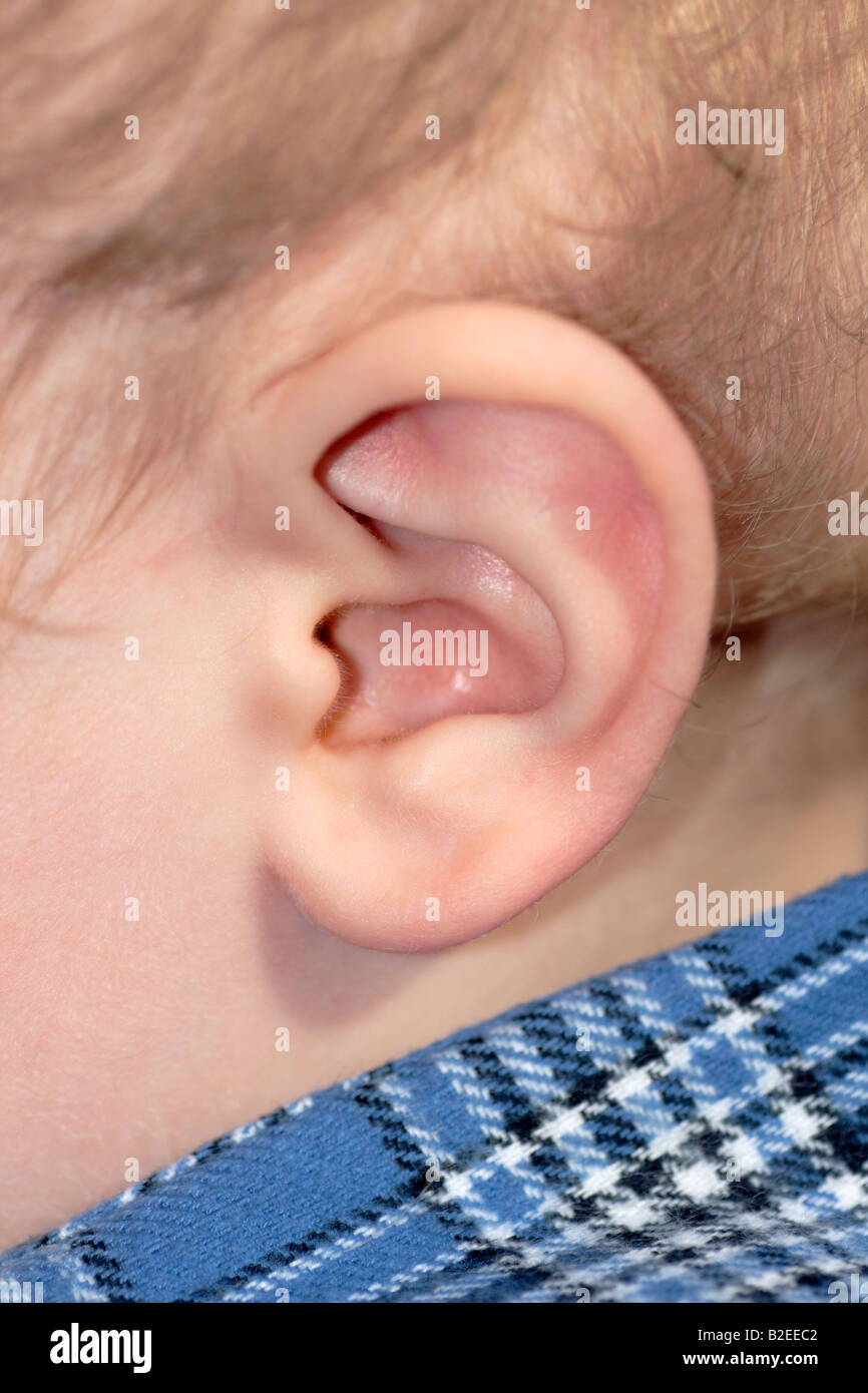 L'orecchio di un 2 anno vecchio ragazzo Foto Stock