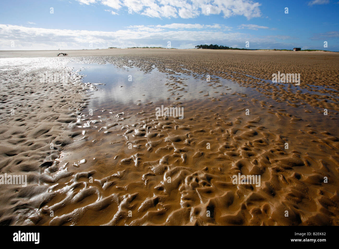 Increspature di sabbia su di una larga spiaggia sulla costa del Mozambico Foto Stock