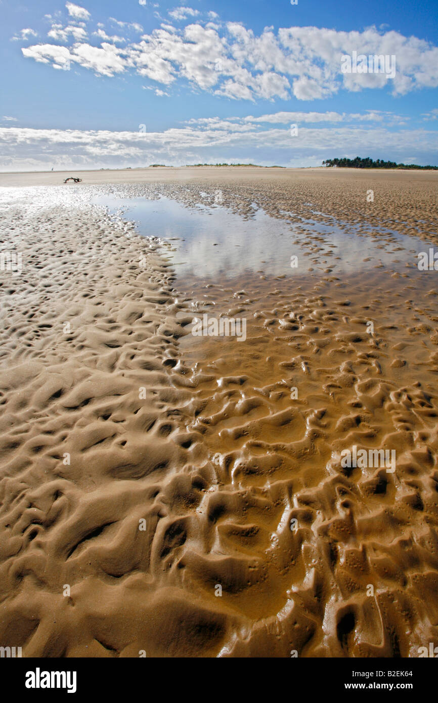 Increspature di sabbia su di una larga spiaggia sulla costa del Mozambico Foto Stock