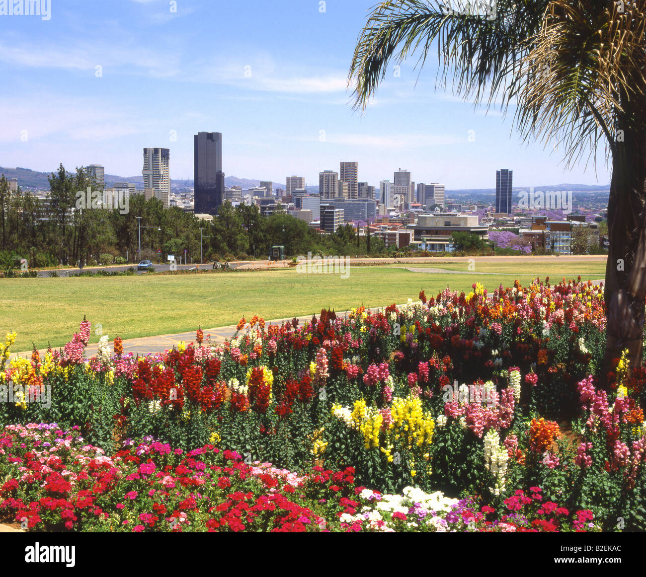 Vista su Pretoria CBD da l'Unione di edifici a vivaci colori e fiori in primo piano Foto Stock