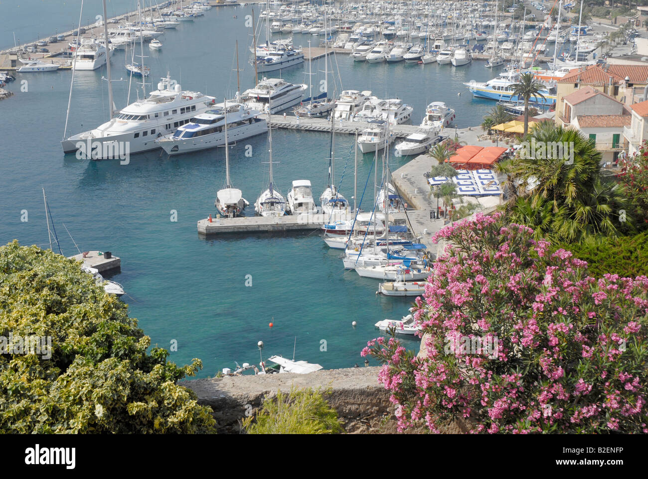 Il porto di Calvi in Corsica del Nord Foto Stock