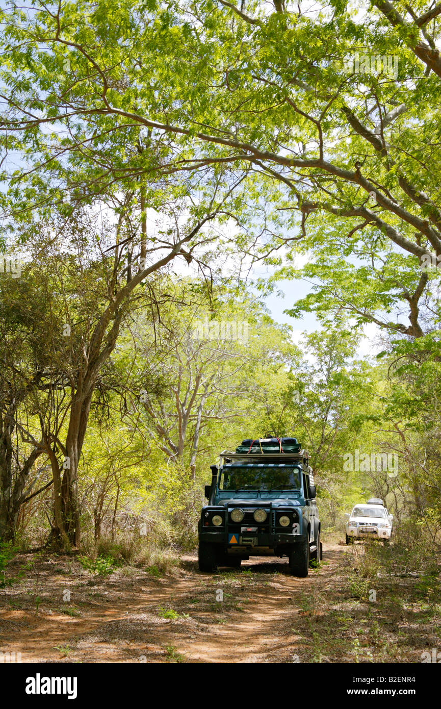 I veicoli su una 4X4 via attraverso il fitto bosco di miombo nelle zone rurali del Mozambico Foto Stock