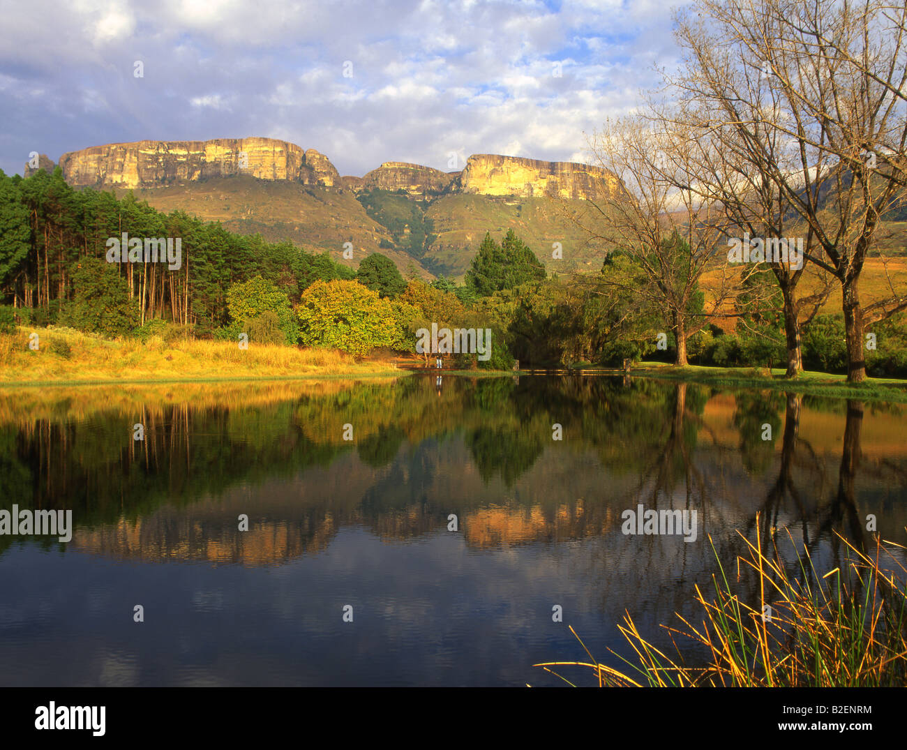 Royal Natal National Park Foto Stock
