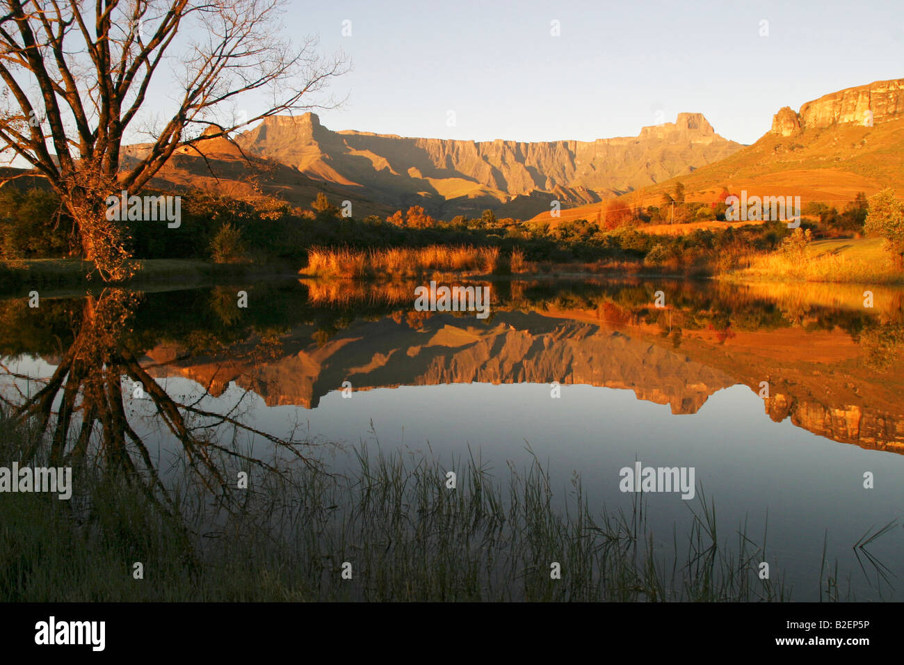 L'anfiteatro si riflette in una diga di trota, Royal Natal Camp, Drakensberg Foto Stock