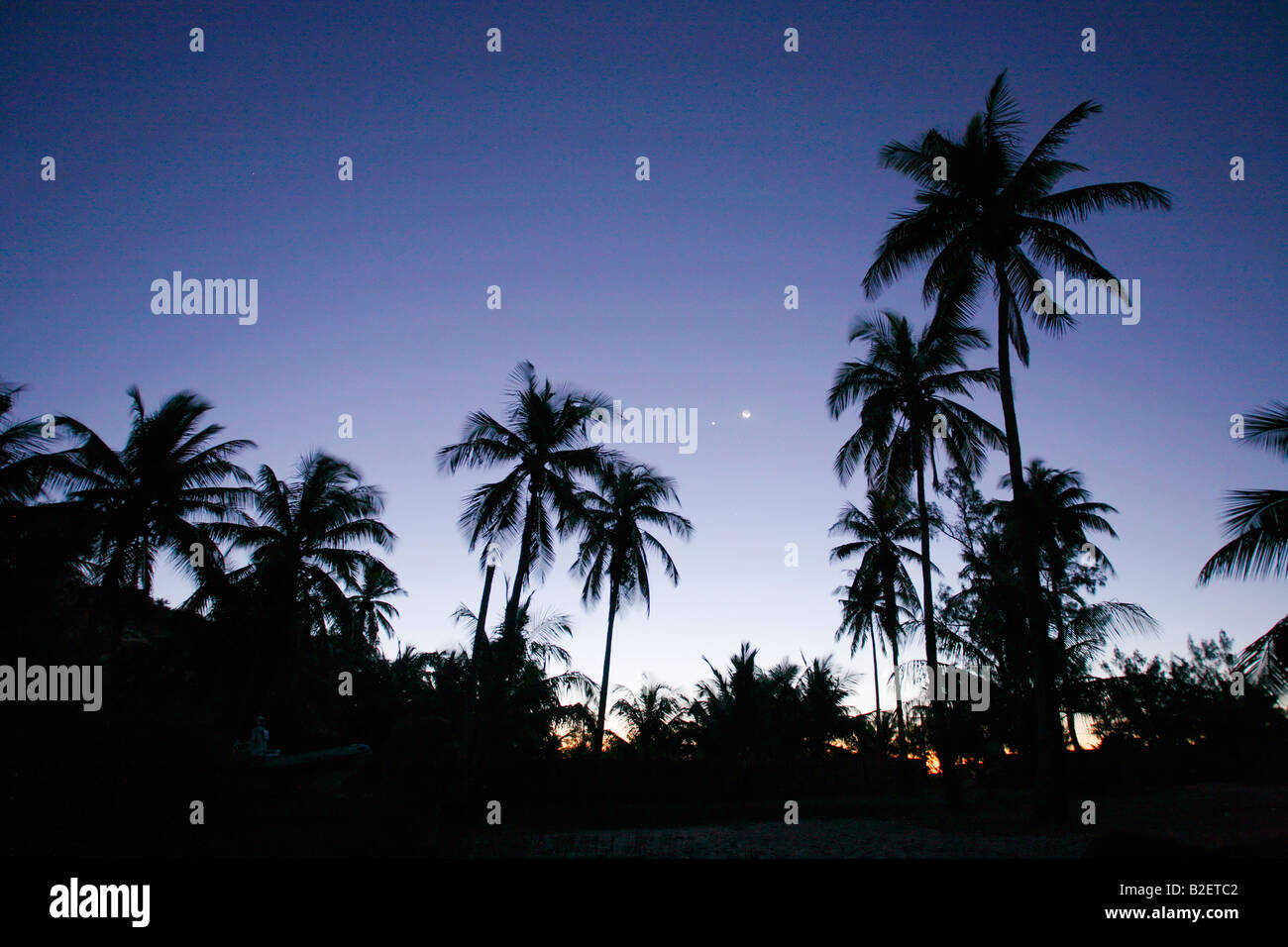 Stagliano palme di cocco al tramonto con un lontano mezza luna Foto Stock