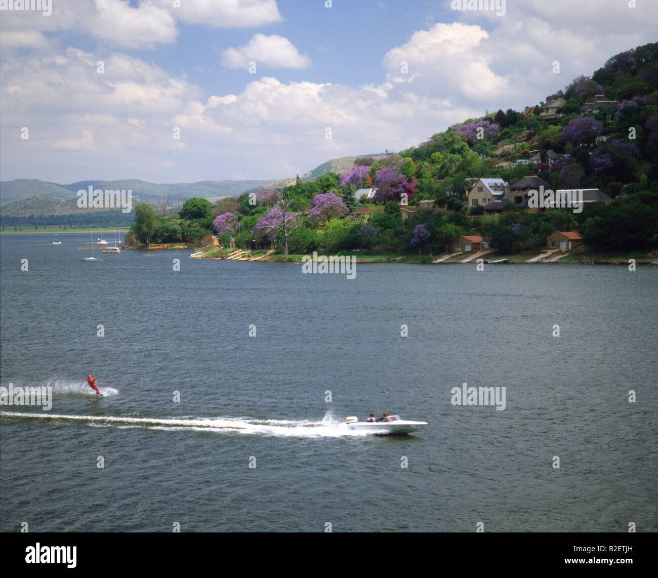 Sciatore acqua presso la diga Hartebeespoort Foto Stock