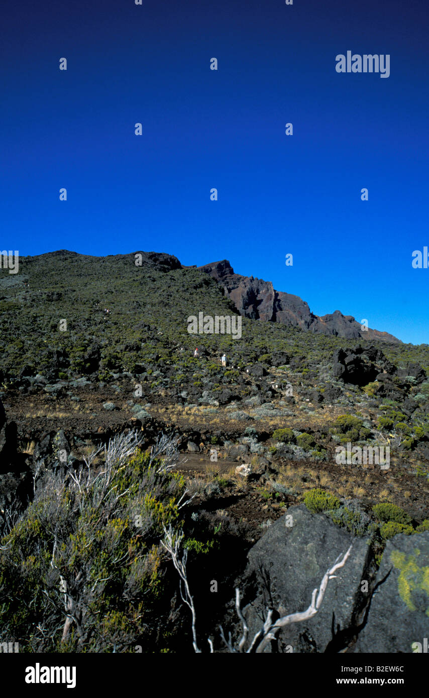 Escursionismo fino al Piton de Neige cratere, il punto più alto della riunione Foto Stock