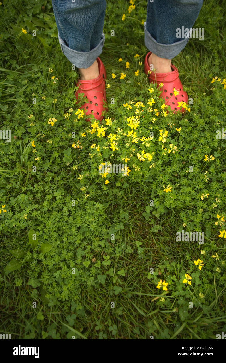 Erba verde con piedi umani camminando in crocs in un prato del parco di campo nel New England America durante un fine settimana di vacanza viaggiando in estate Foto Stock