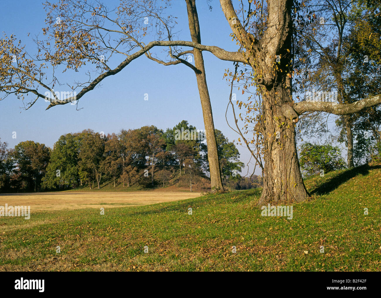 Una vista di Toltec Mounds State parco archeologico in Scott Arkansas Foto Stock