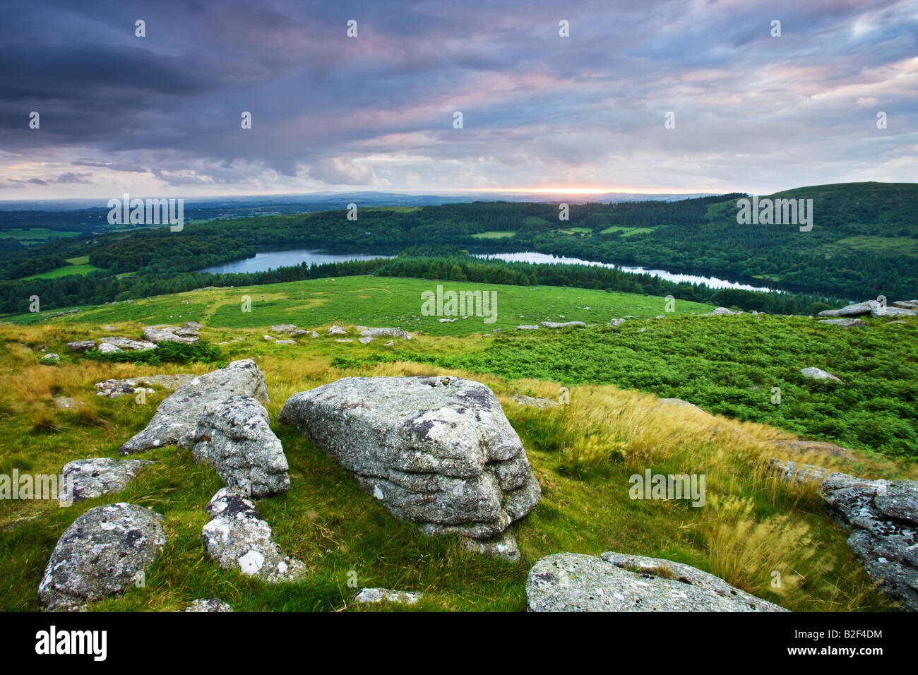 Guardando verso il basso verso il serbatoio Burrator Sheepstor dal Parco Nazionale di Dartmoor Devon England Foto Stock