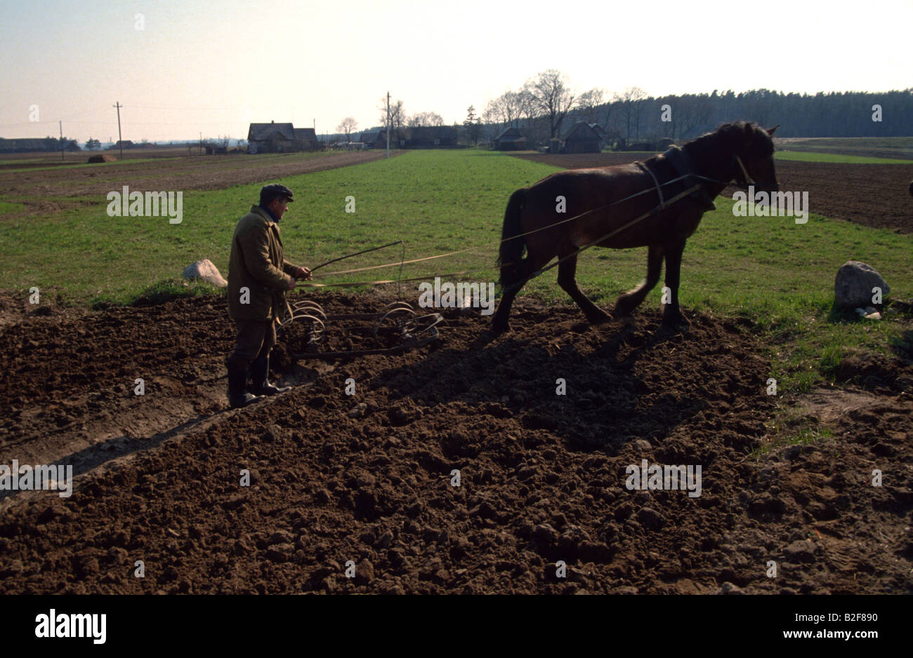 Un agricoltore lituano ara il suo campo con un tradizionale cavallo timone durante la semina primaverile. Foto Stock