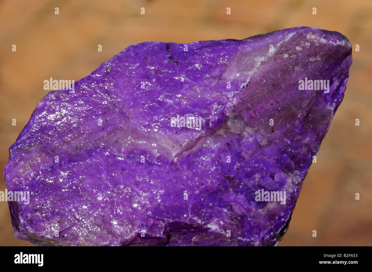 Ruvida Sugilite Gem o Wesselite dal Kalahari manganese miniere di campo Foto Stock