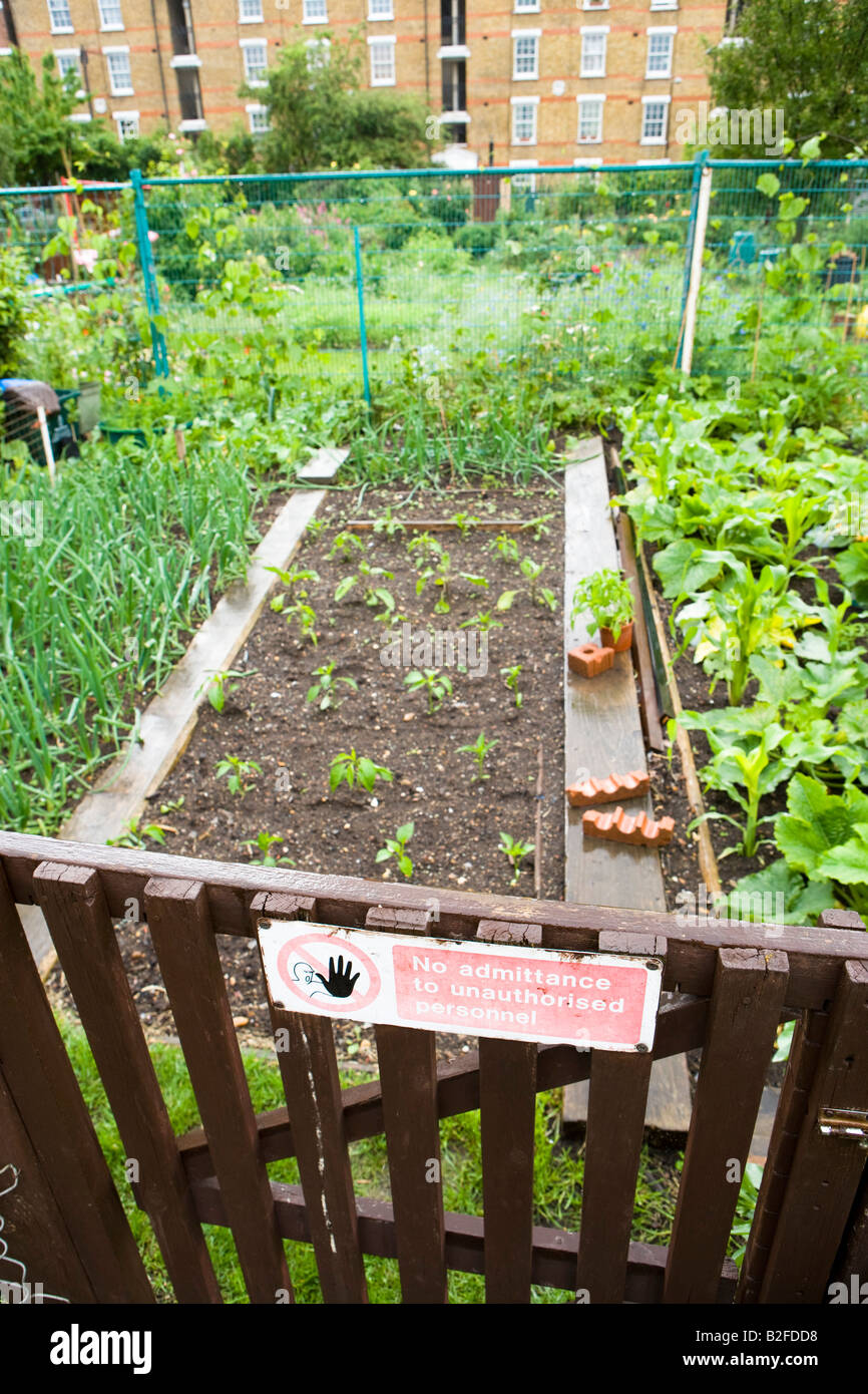 Percorso attraverso la trama con nessun segno di entrata Foto Stock