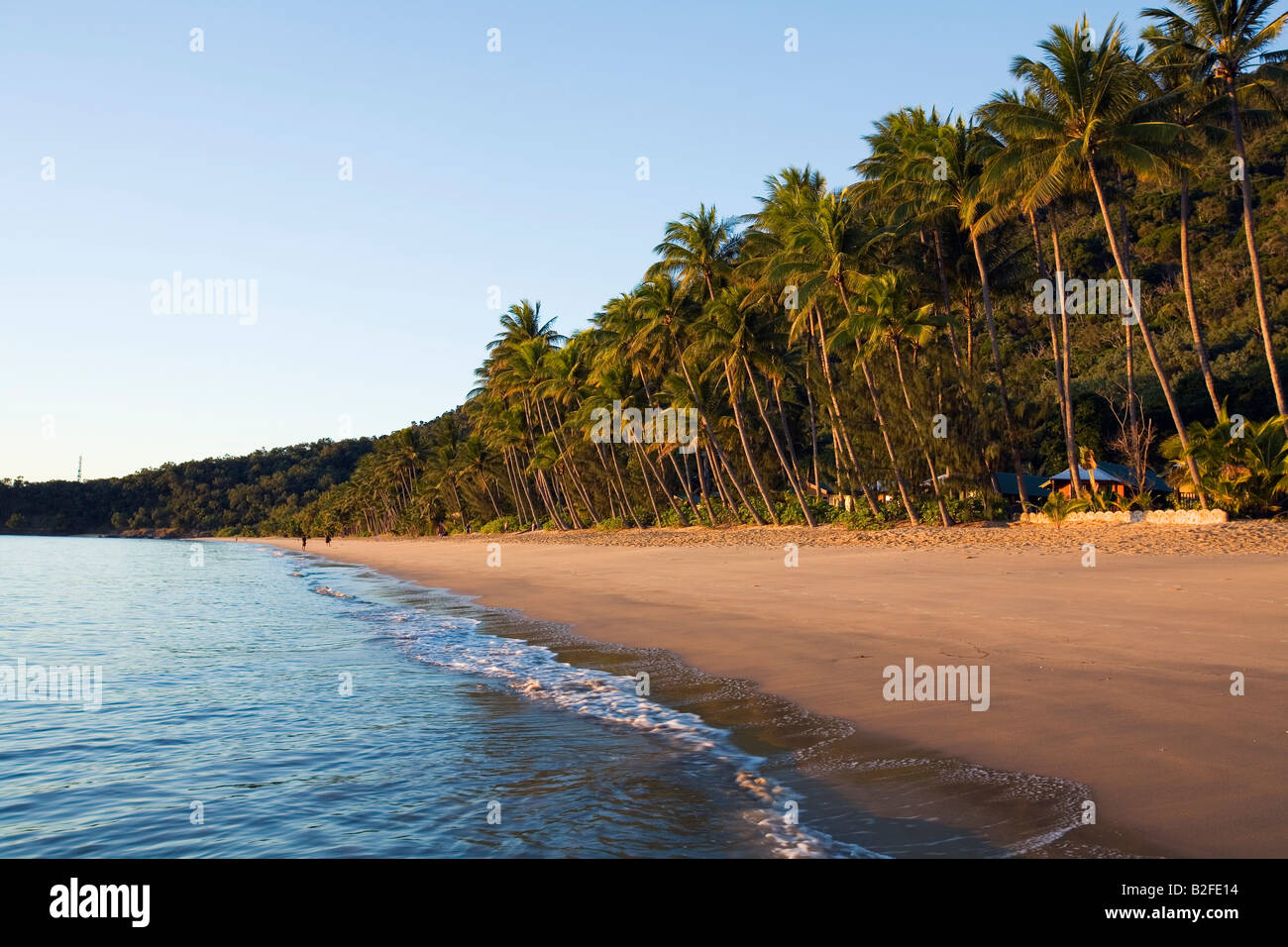 Tropical Beach - Cairns, Queensland, Australia Foto Stock