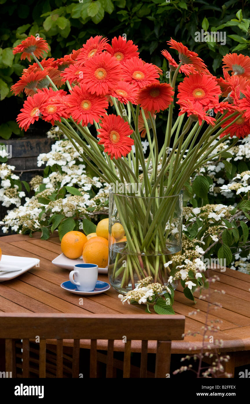 Giardino di design con piante in vaso Foto Stock