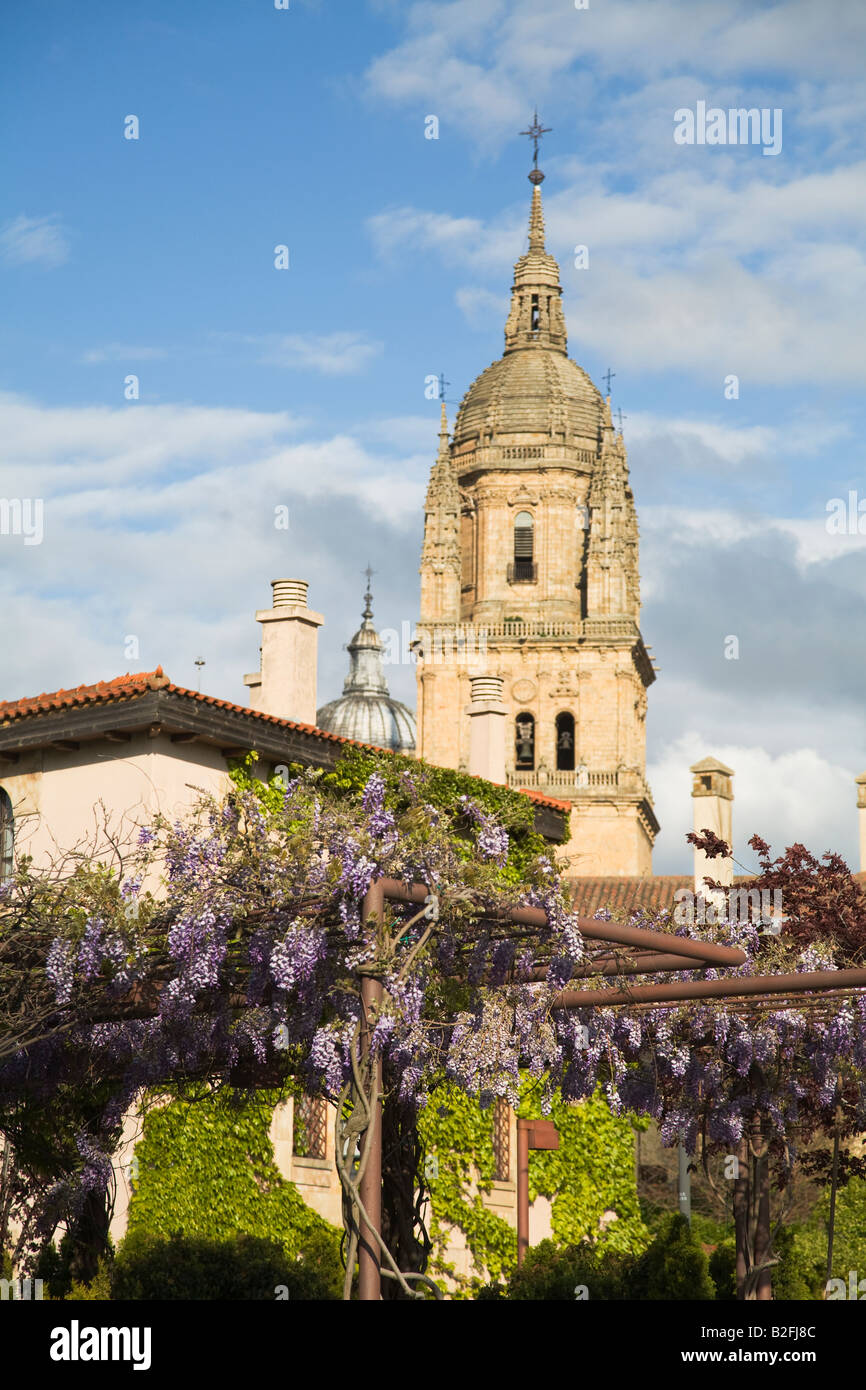 Spagna Salamanca fioritura rampicanti di glicine coperchio trellis overhead nel parco vicino Università guglia e la cupola di edifici educativi Foto Stock