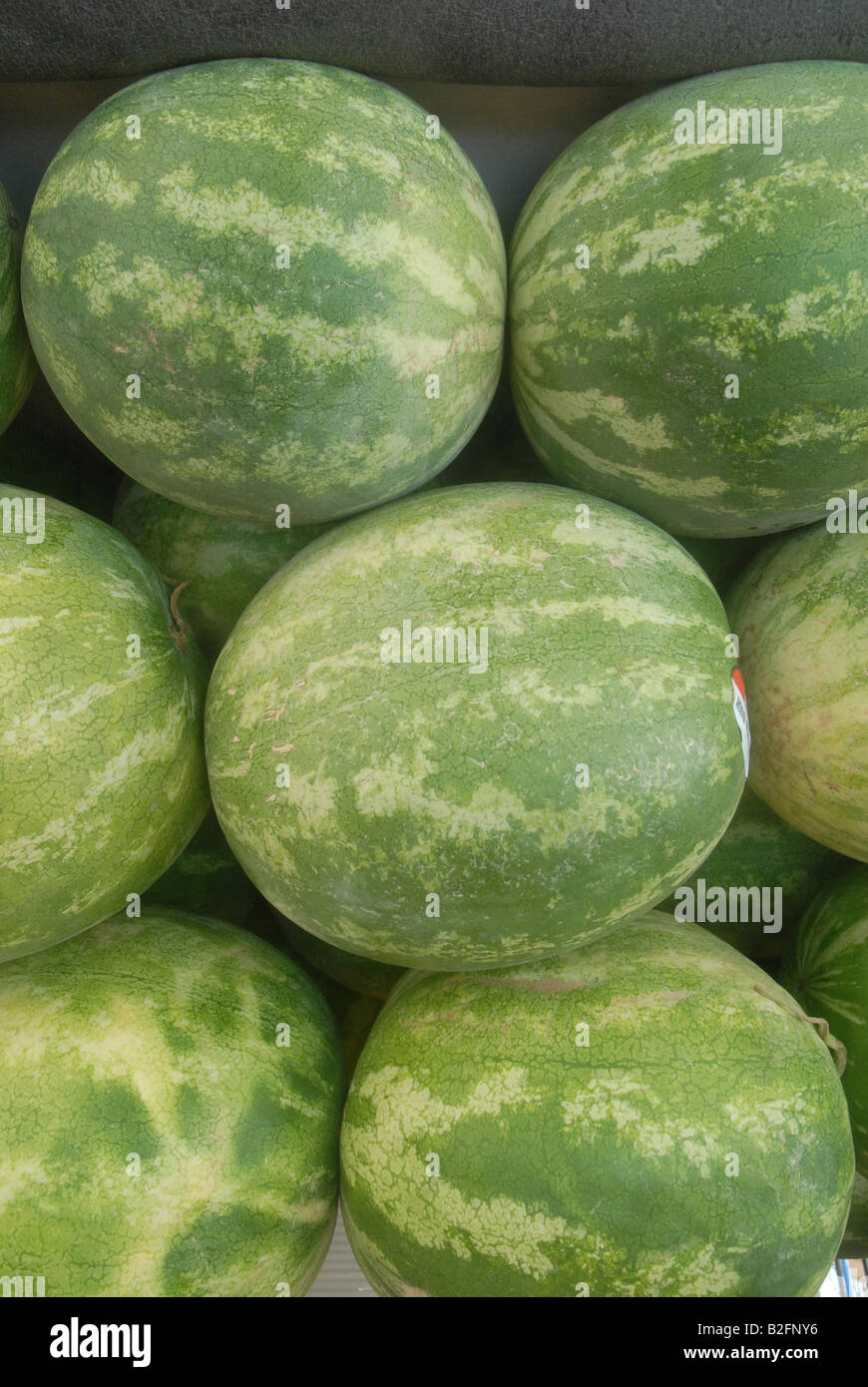 Bancarella vendendo freschi Cocomeri una pila di cocomeri sul display Foto Stock