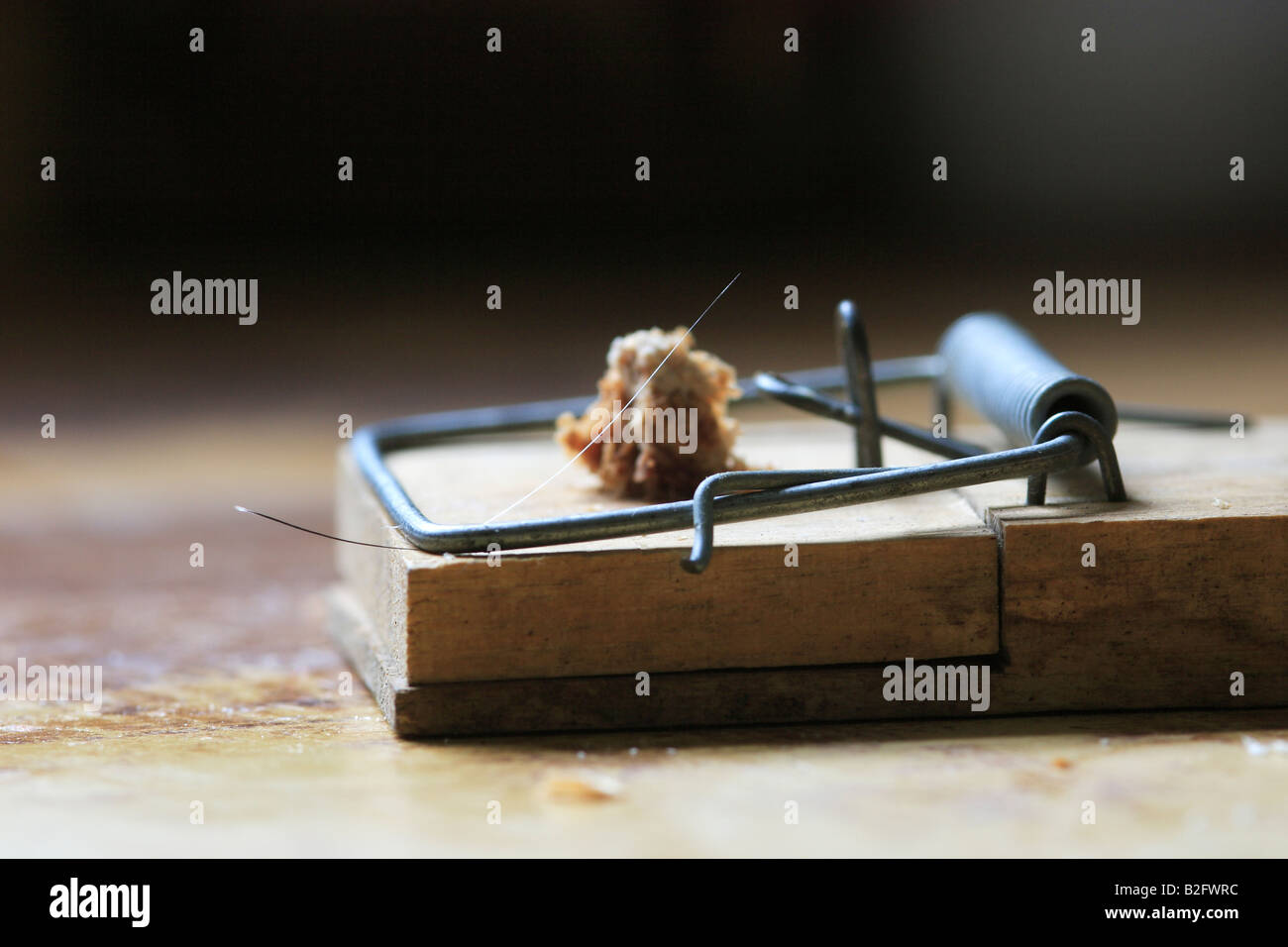 Mouse Trap. Molleggiante & contenente baffo del Mouse Foto Stock