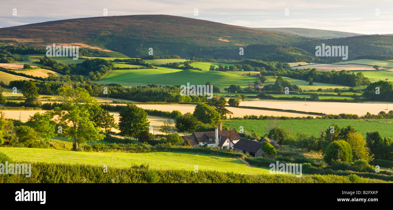 Exmoor cottage immerso nel paesaggio Parco Nazionale di Exmoor Somerset Inghilterra Foto Stock