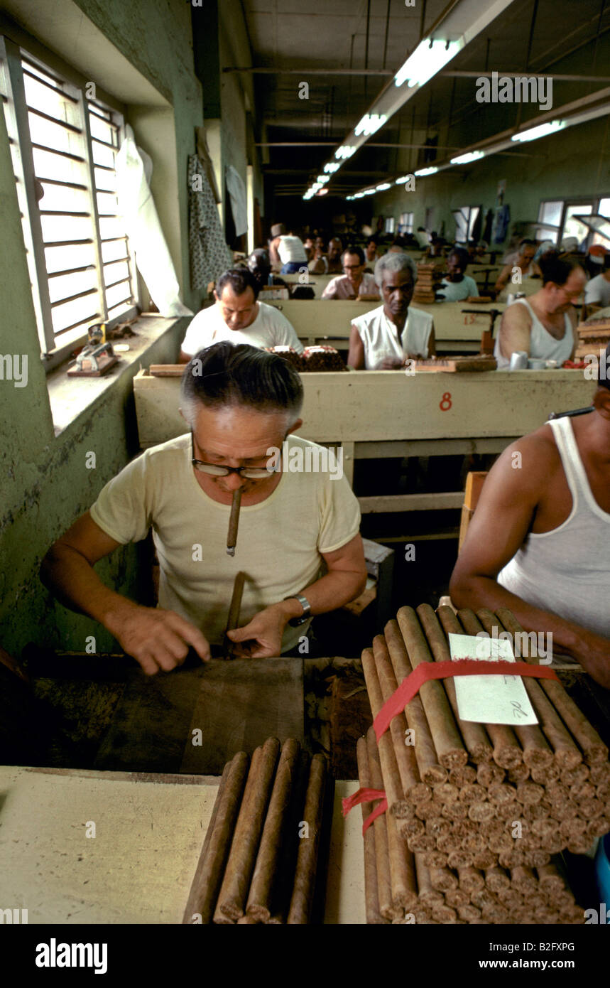 Uomini al lavoro e il fumo di sigaretta in un sigaro fabbrica di rotolamento a Pinar del Rio Cuba Foto Stock