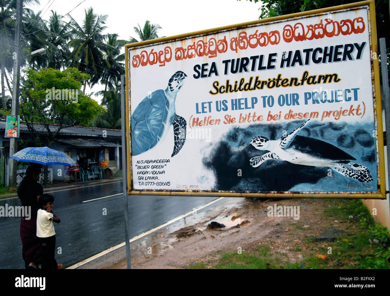 Turtle Hatchery sulla costa sud dello Sri Lanka. Foto Stock