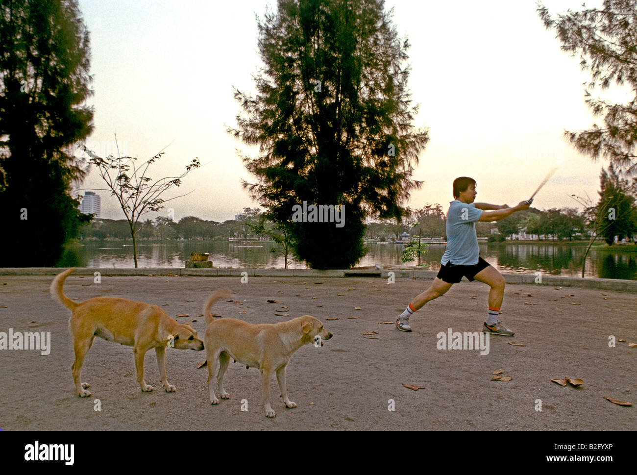 Un uomo solitario practice spada si muove in Lumpini Park a Bangkok, mentre due frisky golden gatti a guardare, Thailandia. Foto Stock