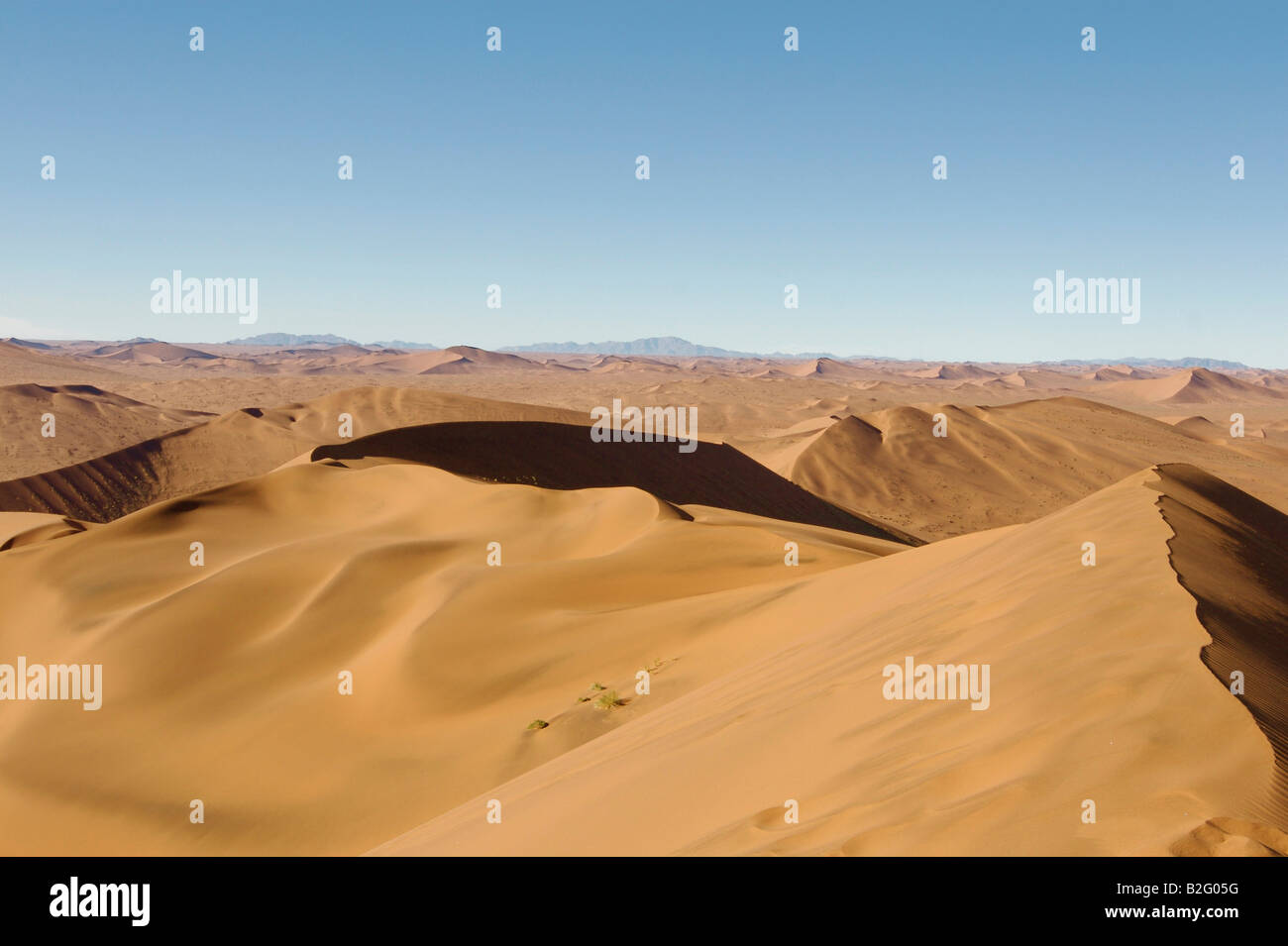Dune e paesaggio del deserto del Namib Foto Stock