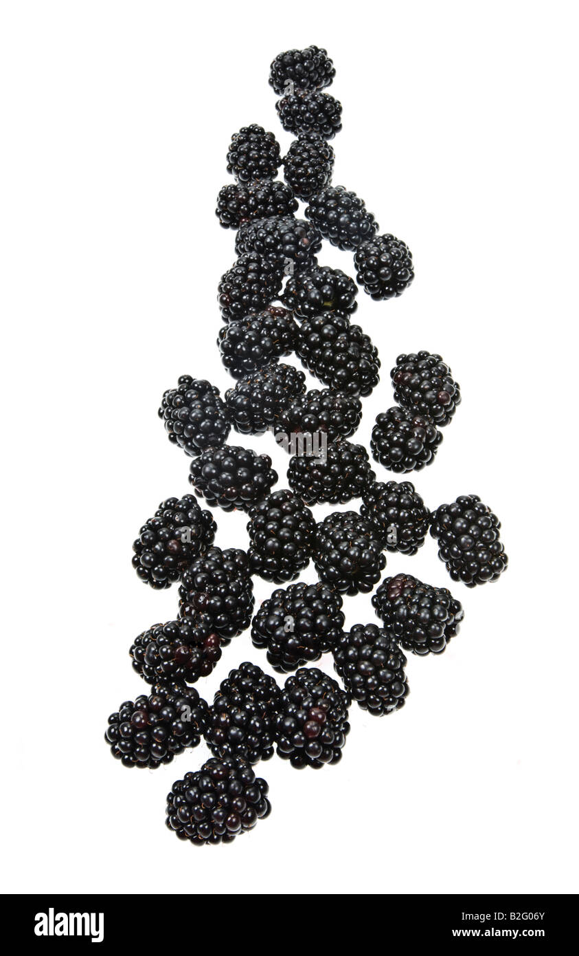 Frutta Rubas Brombeere blackberry dewberry bacche nere marionberry boysenberry fresco su sfondo bianco Foto Stock