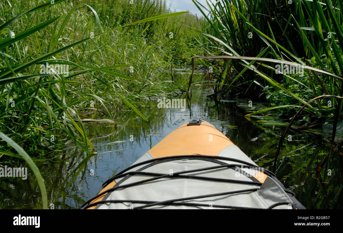 Kayak passando attraverso ance sull'Abbazia di fiume - una stretta backwaters del Tamigi - vicino a Chertsey, Surrey, Inghilterra Foto Stock